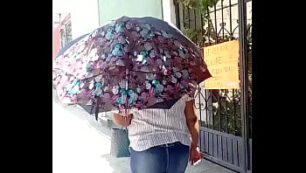 Cp de paseos del bosque queretaro