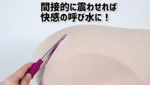 アダルト動画　ソープ