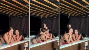 Jepinzon y los gatos irresistibles que se llevan en el desastre sexy